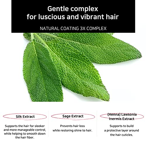 Henna Hair Conditioner: Short Recipe - Image 4