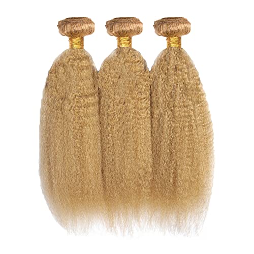 20 22 24 Inch DiexrLamx Hair Honey Blonde Bundles Color #27 Kinky Straight Human Hair Bundles Color #27 Bundles Human Hair Unprocessed Virgin Hair Blonde Yaki Straight Bundles Hair Weave - Image 6