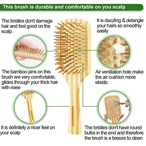 Types of Hair Brushes - Image 3