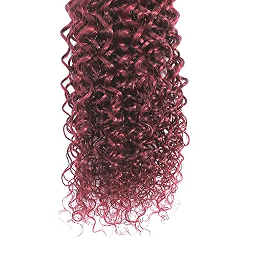 100% Real Brazilian Kinkys Curly Human Hair Weave Bundles (1 Piece, 100 Gram) Black to Burgundy 2 Tone Afro Kinky Curly Hair Bundles for Women Girls (10 Inch) - Image 5