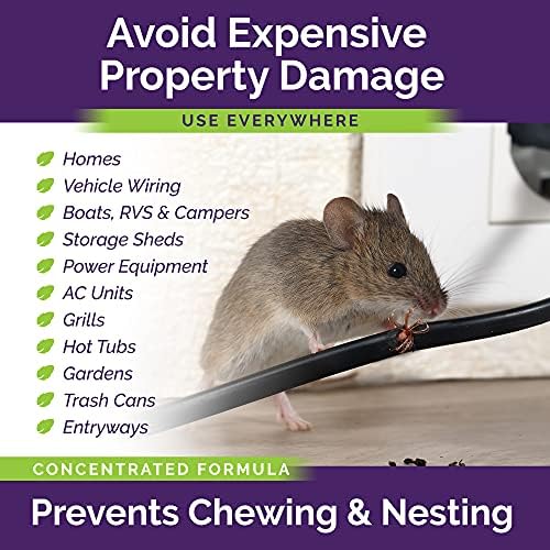 Peppermint Oil Spray for Rodents Plus Cinnamon Oil - MAX Power Mouse Repellent for Home RV Campers Boats Car Engines – Repel Mice and Rats from House Non-Staining 2X Strength (2 Pack) by Lazy Cat - Image 4