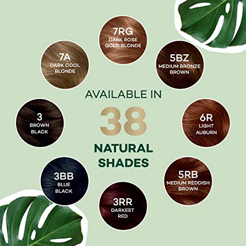 Clairol Natural Hair Dye - Image 9