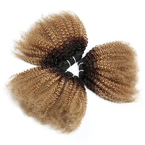 ?Kinky Human Hair Weave: Shorter Version? - Image 2
