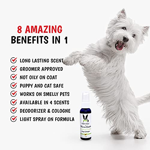 Dog-Safe Nail Polish for Pet Grooming - Image 4