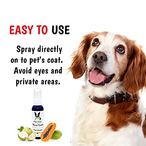Dog-Safe Nail Polish for Pet Grooming - Image 3