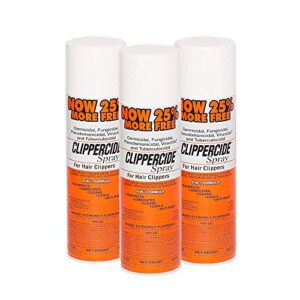 10 oz All-Day Hold Stylish Hair Spray for Strong, Long-Lasting Style