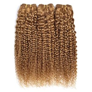 Brazilian Virgin Curly Human Hair Bundles Honey Blonde Brazilian Kinky Curly Hair Bundles Deals 100% Brazilian Human Hair 3 Bundles Total 300gram 20 22 24