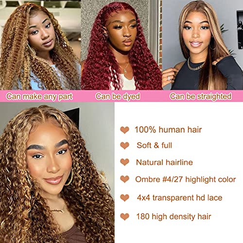 Brown Ombre Human Hair Wig - Image 4