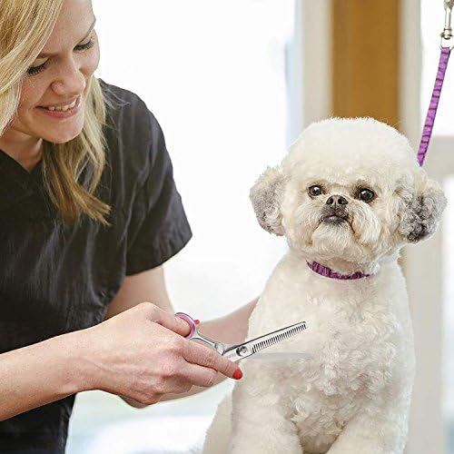?Brush for 4-Year-Old to Remove Pet Hair? - Image 8