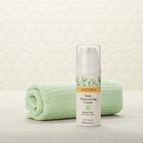 Burt's Bee Eye Cream - Image 7