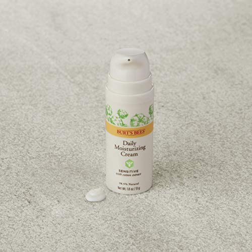 Burt's Bee Eye Cream - Image 3
