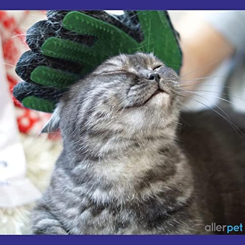 Cat hair grooming glove for shedding control. - Image 6
