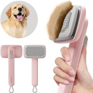 Cat?s Hair Brush: Grooming Tool for Feline Fur