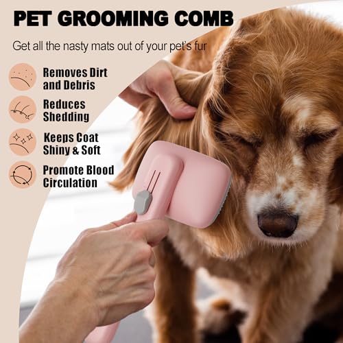Cat?s Hair Brush: Grooming Tool for Feline Fur - Image 2