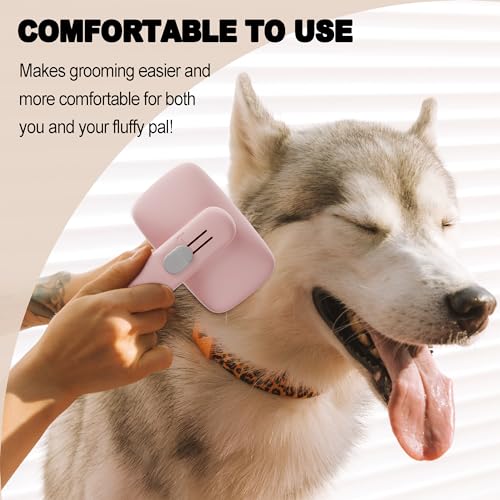 Cat?s Hair Brush: Grooming Tool for Feline Fur - Image 7