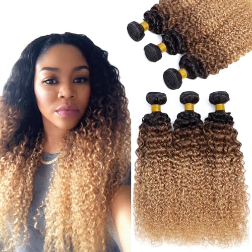 Curly Ombre Human Hair