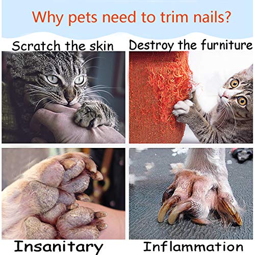 Dog Nail Grinder, Upgraded Version Professional Electric Pet Nail Grinder Trimmer Grooming Tools - Image 6