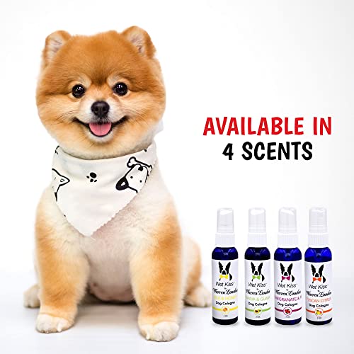 Dog-Safe Nail Polish for Pet Grooming - Image 2