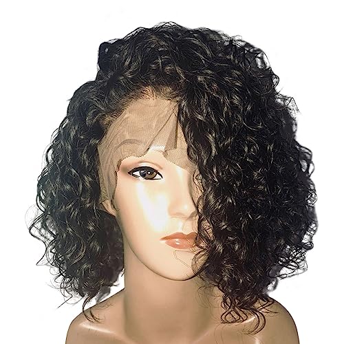 Dorosy Hair Transparent Lace 13x6 Lace Front Wigs Human Hair Wigs for Black Women 150% Density Remy Hair with Natural Hairline Curly Hair with Baby Hair(14 inch with 150% density)