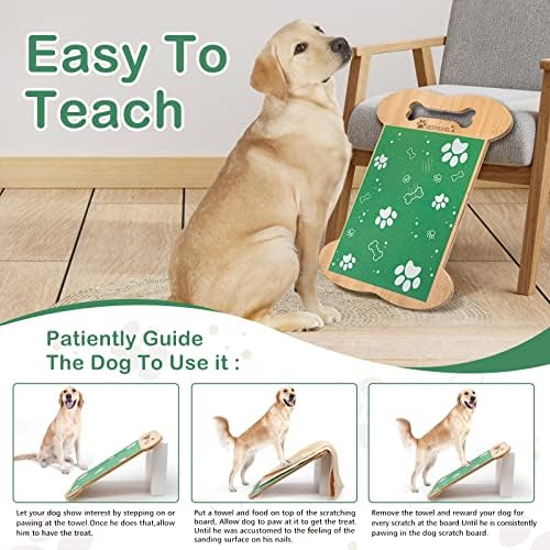 Durable High-Quality Dog Nail Clippers Comfortable Grip for Easy Grooming 13 Words - Image 7
