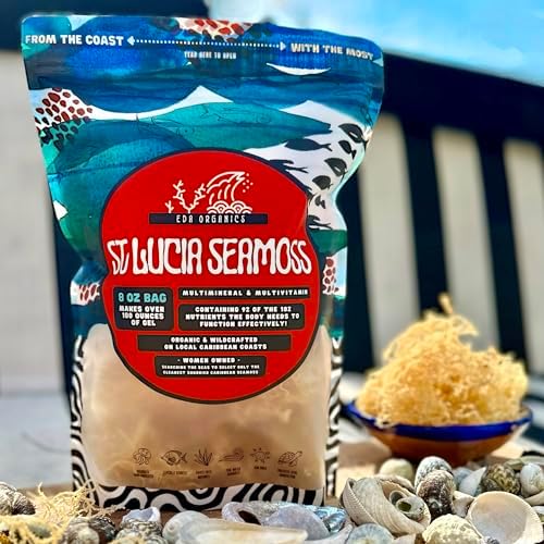 EDA Organics Raw St Lucia Sea Moss Bulk Bag - Raised by Hand on Clean Caribbean Coastlines - Harvested by local St Lucian Farmers - Makes over 180oz+ of Seamoss Gel (13 Jars!) - An authentic Dr Sebi Superfood (8oz BULK Bag)