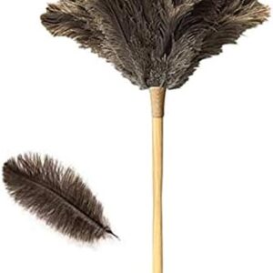 Feather Duster for Home, Feather Duster Fluffy Natural Genuine Ostrich Feathers and Eco-Friendly Reusable Wooden Long Handle Large Ostrich Feather Duster Cleaning for Housewife Brown Length 24" 1Pack