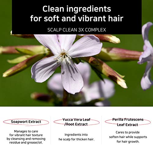 Henna Hair Conditioner: Short Recipe - Image 5