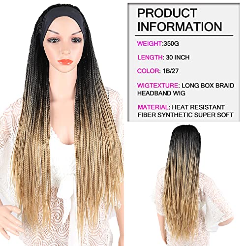 Human Hair Braids Pictures - Image 4