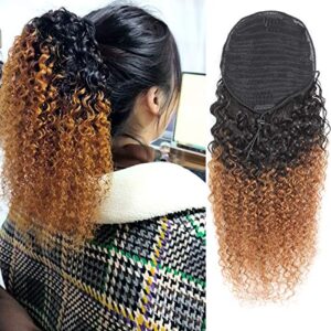 20 Inch Clip-In Human Hair Ponytail Extension for a Natural, Voluminous Style