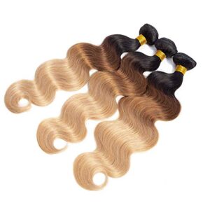 Unprocessed Natural Human Hair Sample Three Layer Structure Cuticle Cortex Medulla