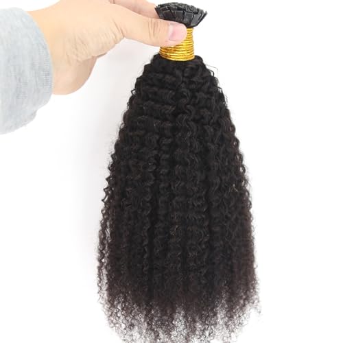 Kinky Curly Human Hair Clip In Extension