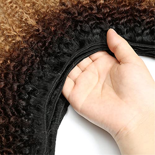 ?Kinky Human Hair Weave: Shorter Version? - Image 6