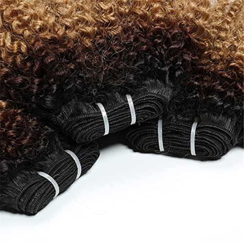 ?Kinky Human Hair Weave: Shorter Version? - Image 4