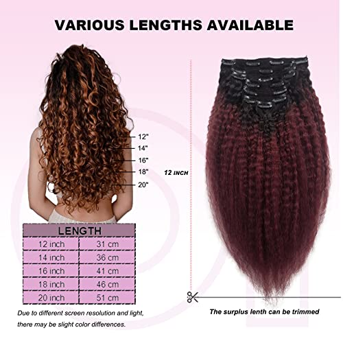 Kinky Straight Human Hair - Image 6