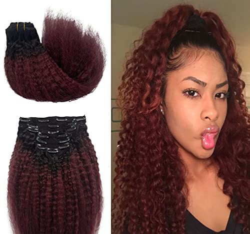 Kinky Straight Human Hair
