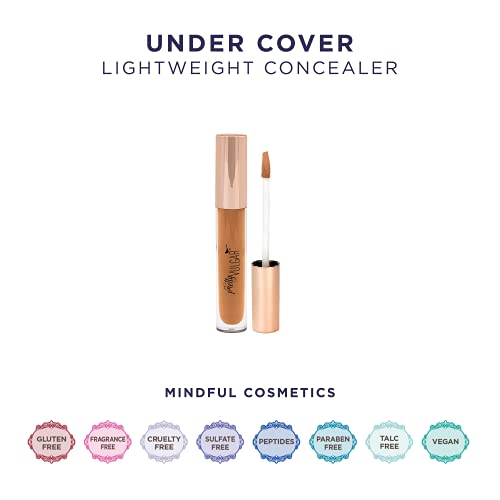 Smooth Finish 0.2 oz Lipstick Under Eye Concealer for Dark Circles - Image 4