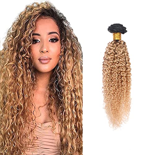 Ombre Bundles Human Hair Honey Blonde Human Hair Bundles 1b27 Kinky Curly Bundles Brazilian Virgin Human Hair 1 Bundle 24 Inch Two Tone Black and Blonde Bundles Remy Hair Weave 100g/Pc