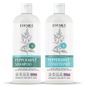 Paraben-Free Healthy Hair Care Shampoo and Conditioner Set 12 oz