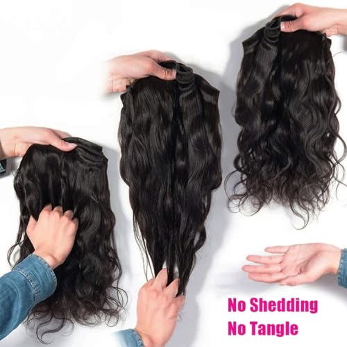 ?Plant-Based Hair Dye? - Image 5