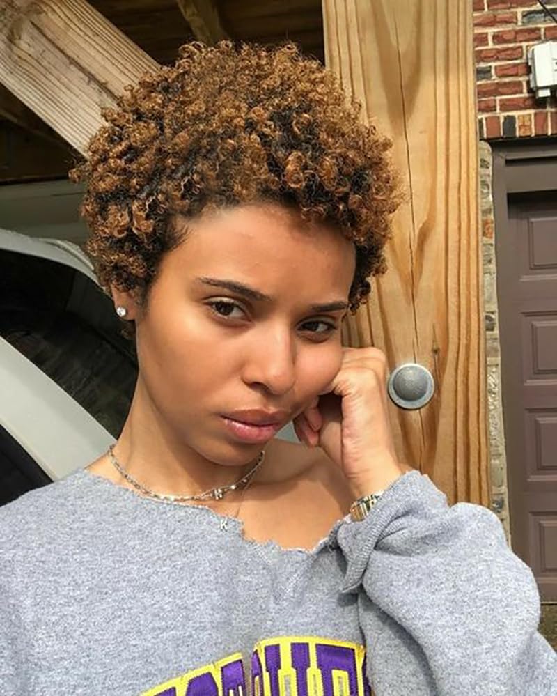 Short Kinky Curly Human Hair Wig