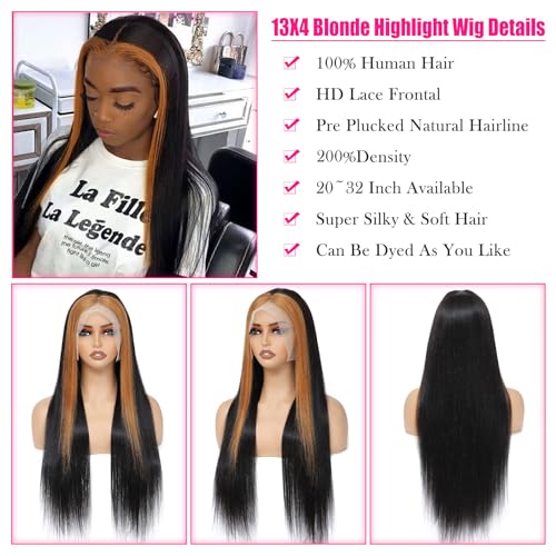 ?Skunk Stripe Human Hair Wig? - Image 4