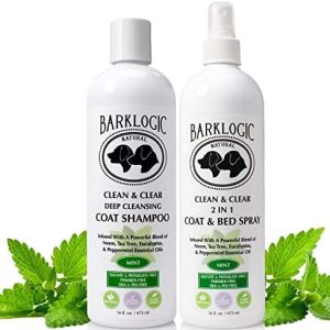 Sulfate Paraben-Free Shampoo 16 oz Bottle for Healthy Hair