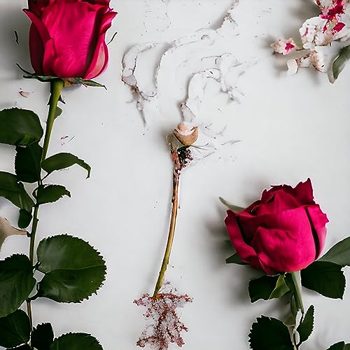 Vital Roots & Petals - HydraMist Daily Hydration Spray, hair spray, rose water hair spray, hair follicle strengthening, shiny hair product, hair texture improvement, antioxidant hair care - Image 6