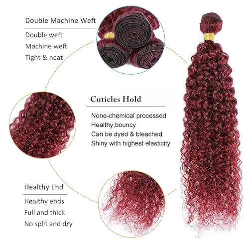 Wine Red Human Hair Bundles Dark Burgundy Bundles 99J Red Kinky Curly Human Hair Bundles 22 24 26 Inch Grade 8A Remy Hair 3 Bundles Wine Red Curly Bundles Hair Extensions - Image 2