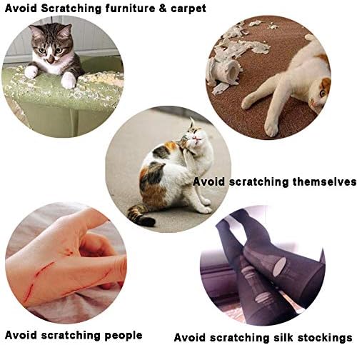 100pcs Cat Nail Caps/Tips YMCCOOL Pet Cat Kitty Soft Claws Covers Control Paws of 10 Multi-Colors Nails Caps and 5Pcs Adhesive Glue 5 Applicator with Instruction - Image 4