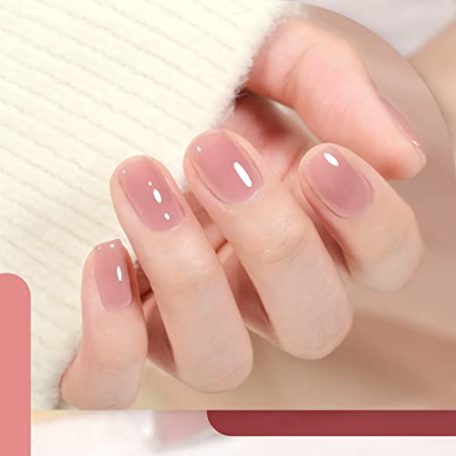 GAOY Rose Garden Sheer Jelly Gel Nail Polish Kit 6 Colors + Top Coat - Image 4