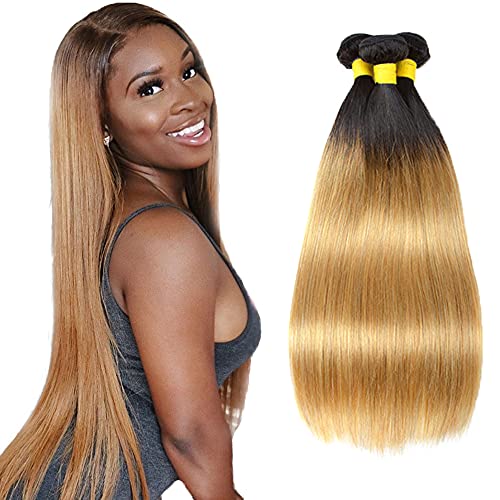 1b27 Human Hair Bundles Ombre Honey Blonde Straight Bundles Brazilian Remy Human Hair 3 Bundles 14 16 18 Inch Double Weft Hair Weave Honey Blonde Hair Bundles Ombre Bundles