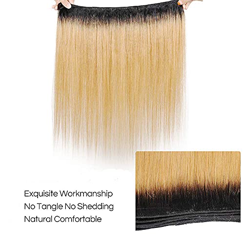 1b27 Human Hair Bundles Ombre Honey Blonde Straight Bundles Brazilian Remy Human Hair 3 Bundles 14 16 18 Inch Double Weft Hair Weave Honey Blonde Hair Bundles Ombre Bundles - Image 8