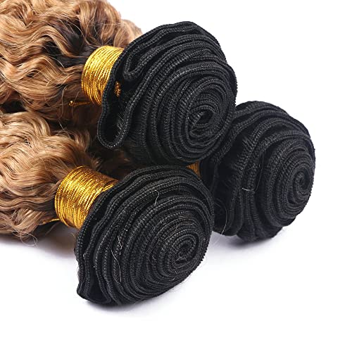 20 22 24 Inch Honey Blonde Ombre Deep Wave Human Hair Bundles 1b/27 Double Weft - Image 4