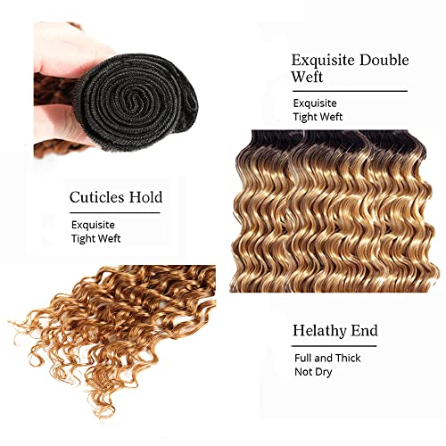 20 22 24 Inch Honey Blonde Ombre Deep Wave Human Hair Bundles 1b/27 Double Weft - Image 3